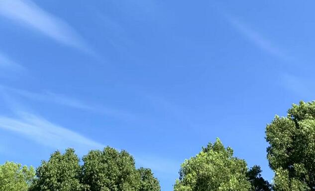 һ˿eQը,wCl(f)¹ôk