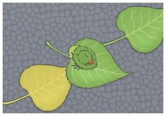 Ͱ׌˿옷Ͱɫ