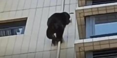 V|?ЇɆ