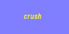 crushʲô˼W(wng)j(lu)ṣcrushɶW(wng)j(lu)